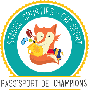 Icone logo Pass'Sport de Champions Icone logo Pass'Sport de Champions